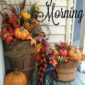 Meet your Posher, Meredithe